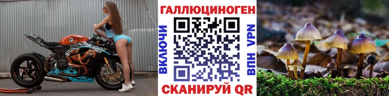 Псилоцибиновые грибы GOLDEN TEACHER  Чегем 