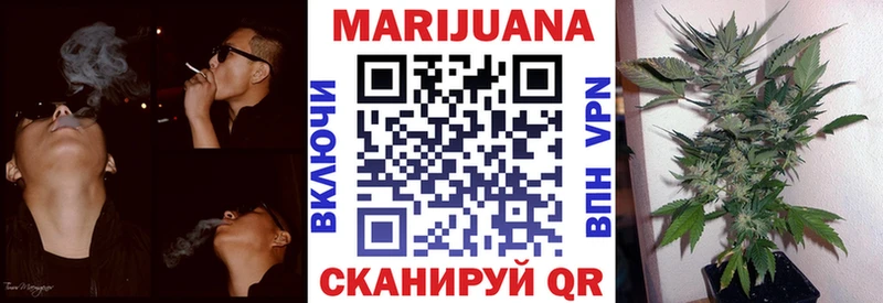 shop какой сайт  сколько стоит  Чегем  Канабис AK-47 